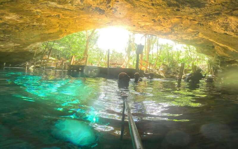 Tulum: Dos Ojos Cenote 2 Scuba Dives with Transfer Option - Dos Ojos Cenote: why this Tulum stop is such a big deal