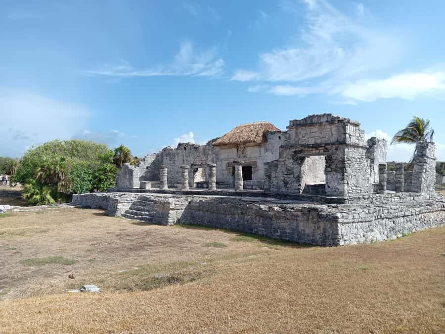 Tulum: Get a private guide to show you the Mayan Ruins - Mangroves First: Why This Ecosystem Is Part of the Maya Story