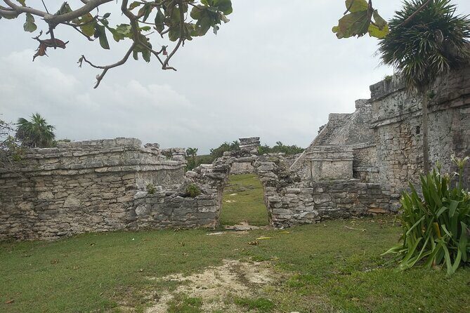 Tulum Guided Tour and Cenote Swim from Playa del Carmen - Cenote Yax Kin Camping: Swim Time With On-Site Comfort
