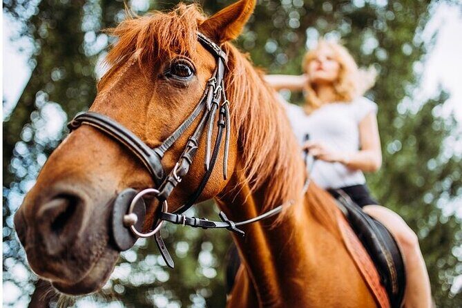 Tulum Jungle Horseback Ride + Cenote Dip & Traditional Lunch - Who Should Book This Tulum Horseback + Cenote Tour?