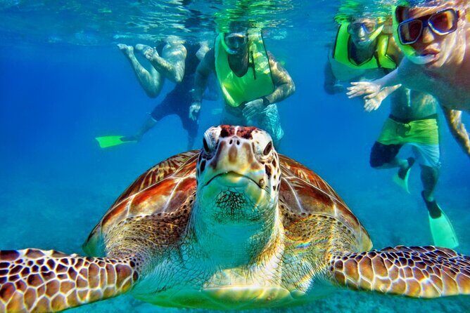 Tulum Mayan Ruins and Snorkeling with Turtles at Akumal - Akumal Beach turtle snorkeling: what the 2-hour water time feels like