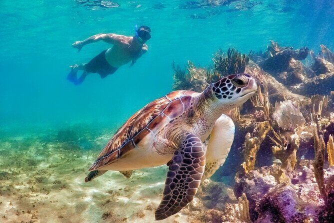Tulum Mayan Ruins and Snorkeling with Turtles at Akumal - What to pack for Akumal + Tulum in one day (and what to bring for comfort)