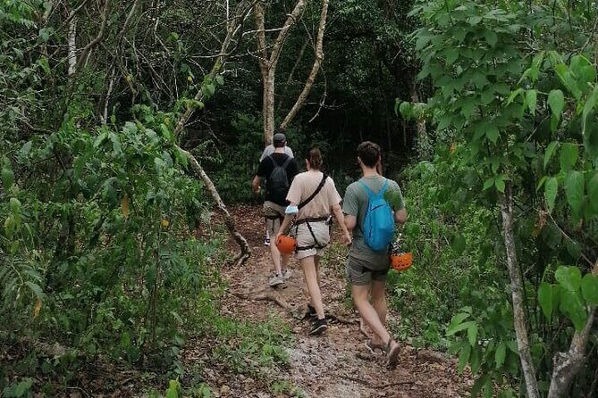 Tulum Monkey Sanctuary Tour Punta Laguna - Stop 1: Punta Laguna Nature Reserve Walk, Zipline, and Canoe
