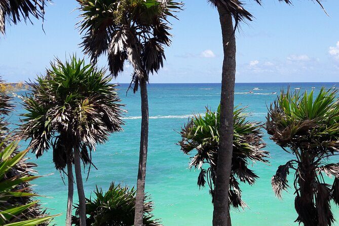 Tulum Private Boat Tour & Turtle Snorkeling Experience - Stop 2 at Playa Pescadores: turtle snorkeling, reef fish, and beach time
