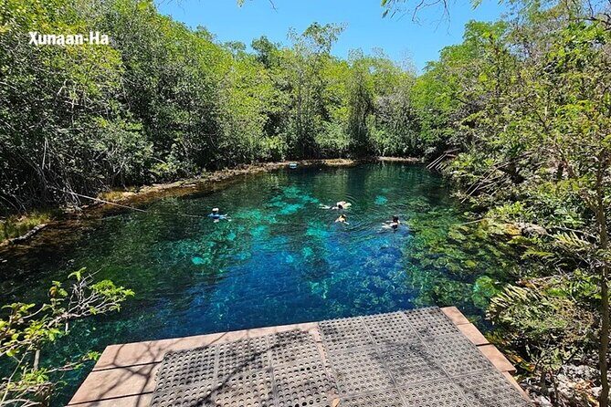 Tulum Private Driver for a Day - Up to 8 hours - Value Check: $379.99 Per Group for Up to 3