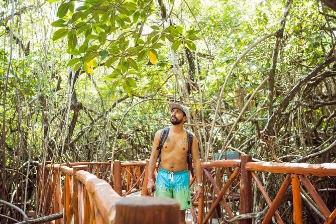 Tulum Ruins & Casa Tortuga Eco Tour! 4 Cenotes from Tulum City - Stop 2: Casa Tortuga Cenotes—Four Swims, One Big Reason People Book
