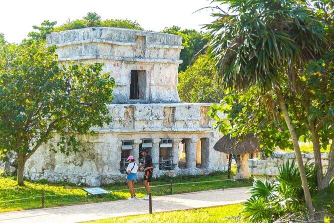 Tulum Ruins, Cenote Cave and Swimming with Turtles From Tulum - Stop 3: Akumal Bay snorkeling and swimming alongside sea turtles