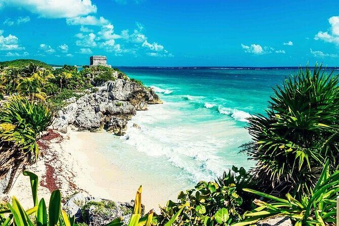 Tulum Ruins, Cenote Cave and Swimming with Turtles From Tulum - Stop 2: Nohoch Cenote cave swim in the jungle