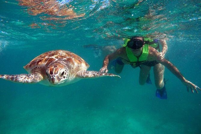 Tulum ruins swim with turtles in Akumal and Cenote - Price and What’s Really Included in the $125