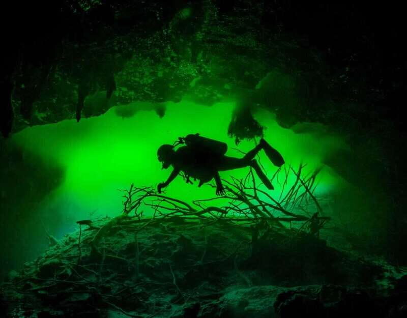 Tulum : Scuba in 2 cenotes including a deep one Pit Dos Ojos - Dos Ojos: Limestone Cathedrals, Bat Cave Energy, and Light Tricks