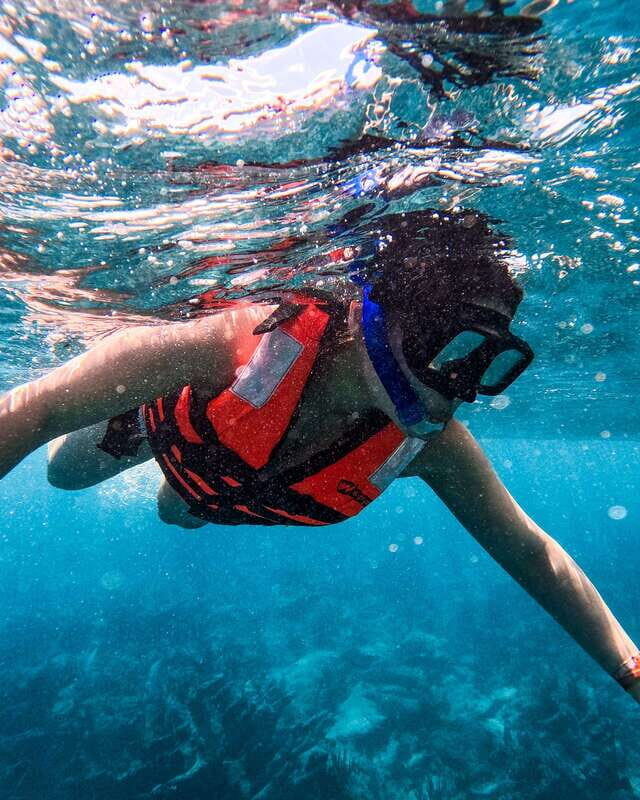 Tulum: Snorkeling at Paradise Reef - Why Paradise Reef Snorkeling Feels Easy in Tulum