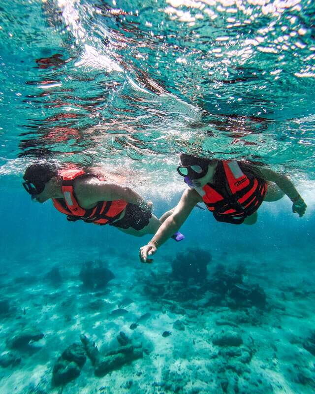 Tulum: Snorkeling at Paradise Reef - Gear, Comfort, and Small Tips That Make a Big Difference