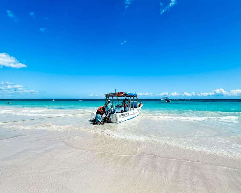 Tulum: Sport Fishing Experience with Ceviche - What the Season Means for Tuna, Marlin, Dorado, Mahi Mahi, Barracuda, and Sailfish