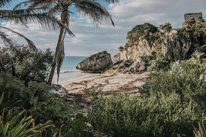 Tulum Transportation Service 24/7 The Most Reliable and safe. - The Price: Why $25.72 Can Be a Good Deal