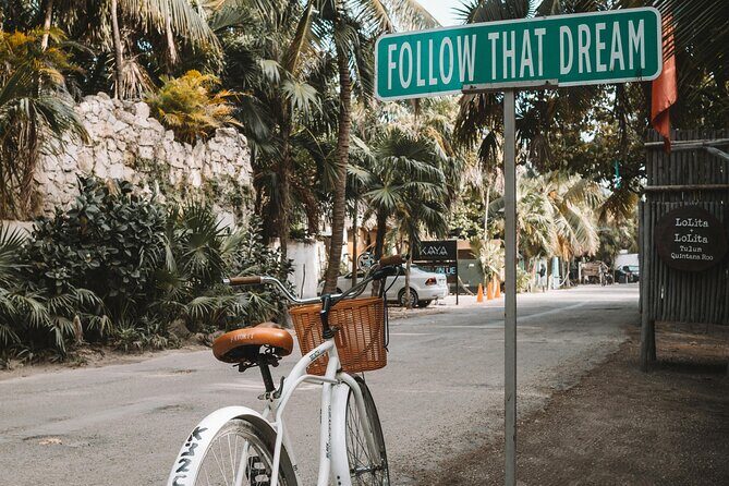 Tulum Transportation Service 24/7 The Most Reliable and safe. - Extras, Fees, and the Stuff You Should Clarify Up Front