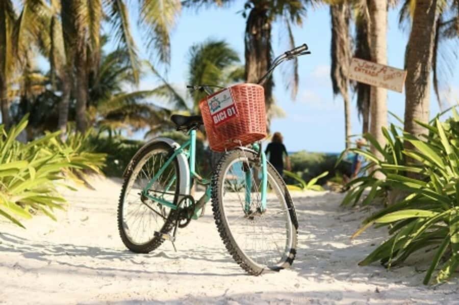 Tulum: Tulum National Park Guided Bike Tour - Starting at the South Access Viewpoint Tower for immediate big views