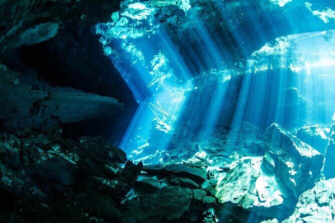 Tulum Turtle Encounter - The Best Private Turtles Snorkel Tour - Who this tour fits best (and who should rethink it)