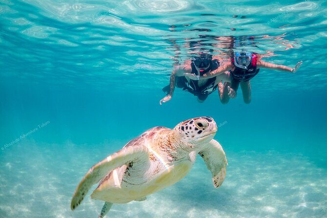 Tulum VIP Private Tour with Sea Turtles & Cenote – Award-Winning - Early Tulum ruins: how skipping lines changes everything