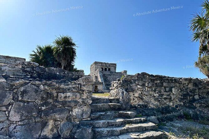 Tulum VIP Private Tour with Sea Turtles & Cenote – Award-Winning - Logistics that matter: pickup timing, missed pickups, and staying cool