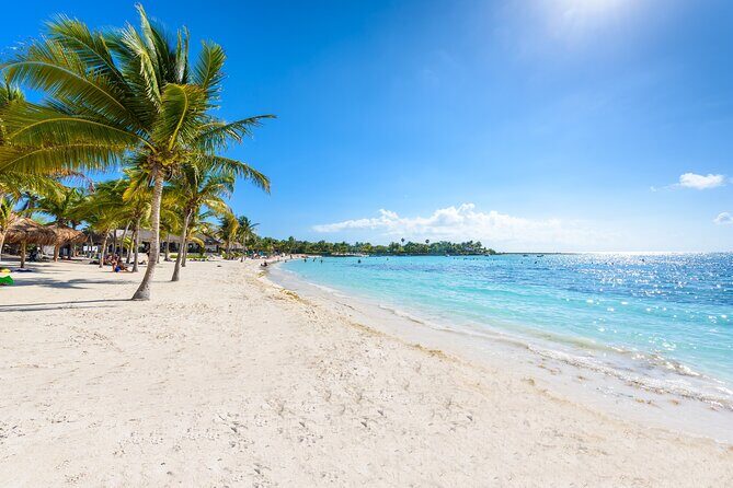 Turtle and Reef Sanctuary Snorkeling - Price and the Real Cost: $69 Plus the Listed $25 Add-On