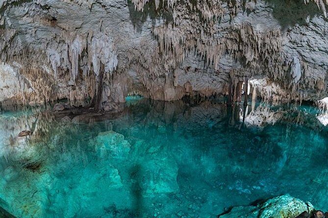 Turtle Encounter Private Tour – Swim with Sea Turtles & Cenote - How the Turtle + Cenote day works from Playa del Carmen