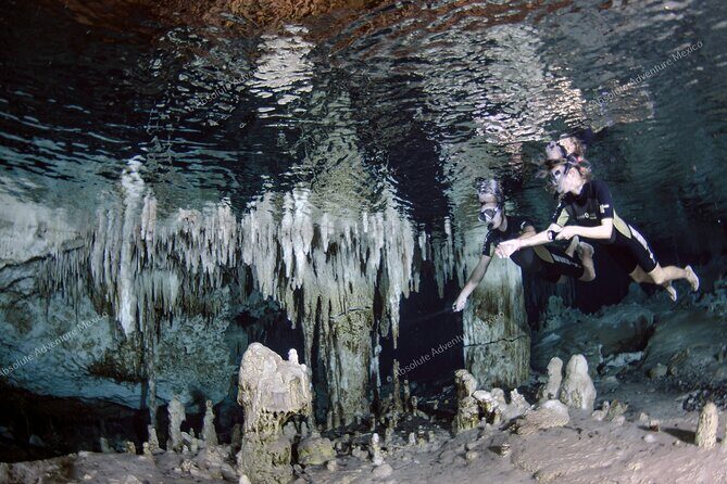 Turtle Snorkeling Private Tour – Sea Turtles & Cenote in Tulum - Your Private Guide and Driver: How the Day Stays Stress-Free