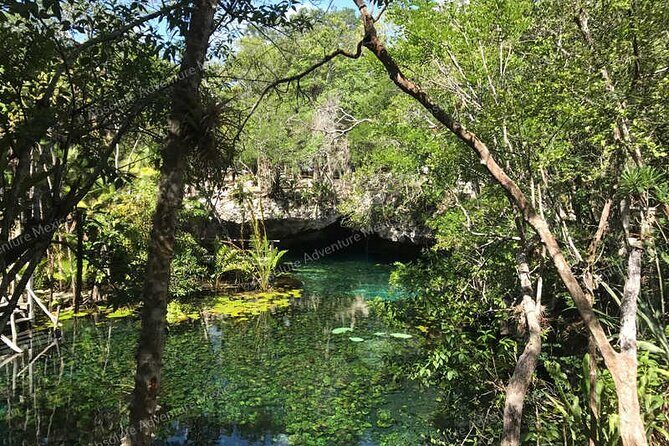 Turtle Snorkeling Private Tour – Sea Turtles & Cenote in Tulum - Value Check: Is $197 Worth It?