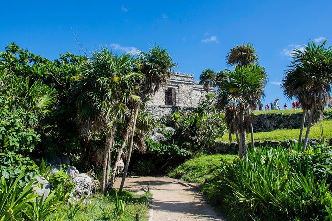 Turtle Swim & Tulum Ruins! With Cenote from Playa del Carmen - Cenote Nohoch swim: underwater rivers, 1 hour, and towel discipline