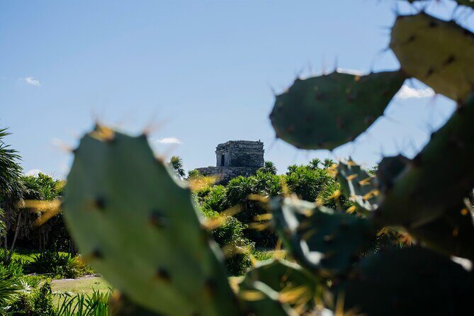 Turtle Swim & Tulum Ruins! With Cenote from Playa del Carmen - Logistics that make or break the day: pickup, packing, and timing