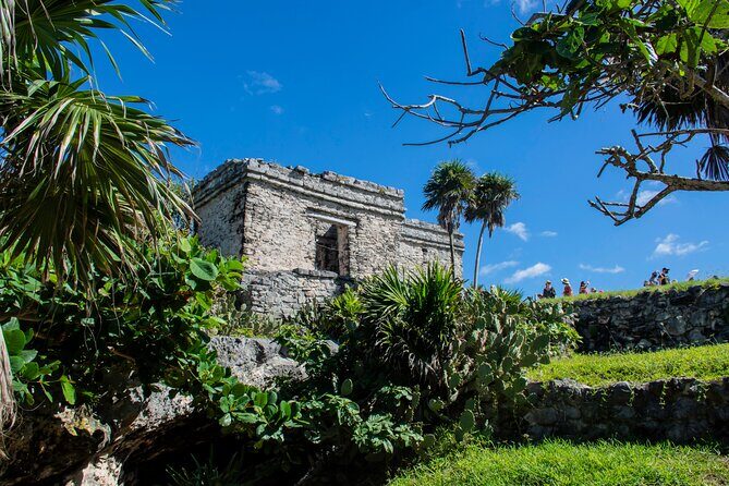 Turtle Swim & Tulum Ruins! With Cenote from Playa del Carmen - Tulum ruins and the Tulum sign: guided history plus breathing room