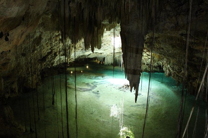 Turtles and Cenote snorkeling activity from Riviera Maya - Price and Value: Is $119 Fair for Turtles and Cenotes?