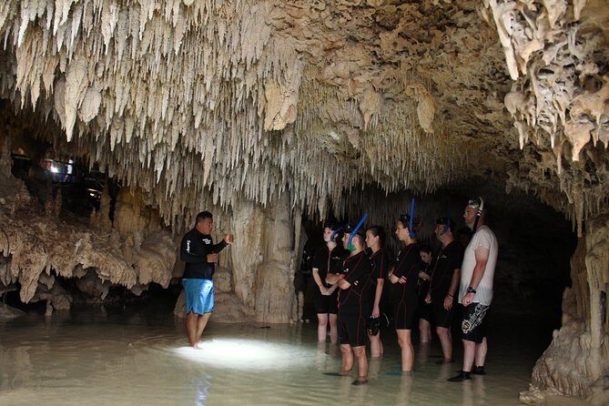 Turtles and Cenote snorkeling activity from Riviera Maya - Language, Guides, and Team Behavior Underwater