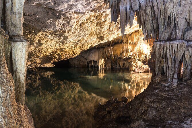 Turtles & Cenote! Half Day from Riviera Maya & Playa del Carmen - The guide and group size: why it matters more than you think