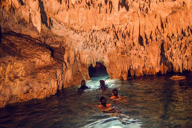 Turtles & Cenote! Half Day from Riviera Maya & Playa del Carmen - What’s included, what’s extra, and how the value stacks up