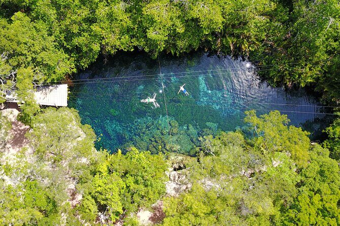 VIP Tulum & Turtles Private Tour - Transfers From Cancun to Tulum: The Logistics That Save Your Day