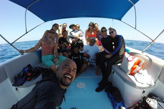 Whale shark encounter Private tour - swim with whale shark cancun - What else you can see besides whale sharks