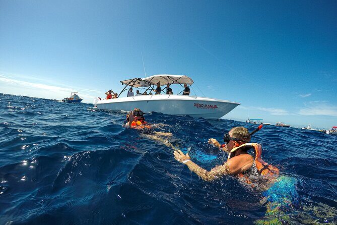 Whale Shark Snorkeling Adventure with Lunch - Price and value: is USD 225 a fair deal?