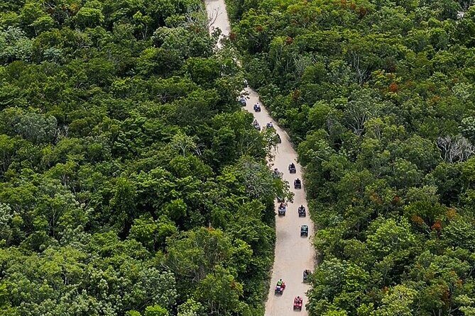 Wild Jungle ATV Adventure with Cenote and Monkey Sanctuary - Akumal Monkey Sanctuary: rescued animals and what to expect