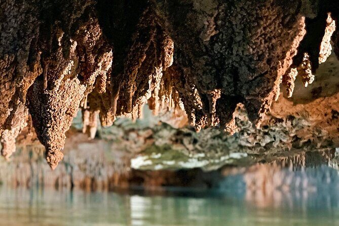 Wild Jungle ATV Adventure with Cenote and Monkey Sanctuary - Price and value: what you’re paying for (and what to budget extra)
