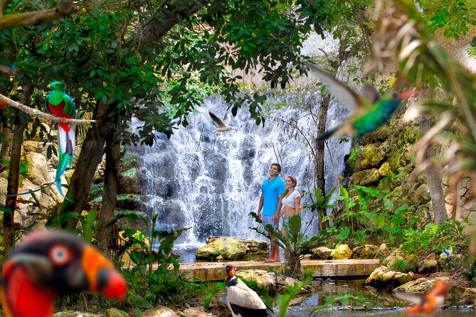 Xcaret Park Plus Access with Transportation and Night Show - Exhibits that turn into mini-adventures: Butterfly Pavilion, aquarium, aviary
