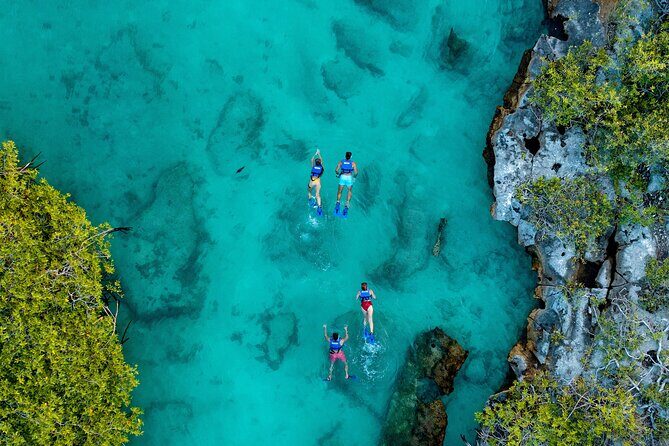 YAL-KU Park in Riviera Maya Admission Ticket - Who This Yal-Kú Ticket Suits Best