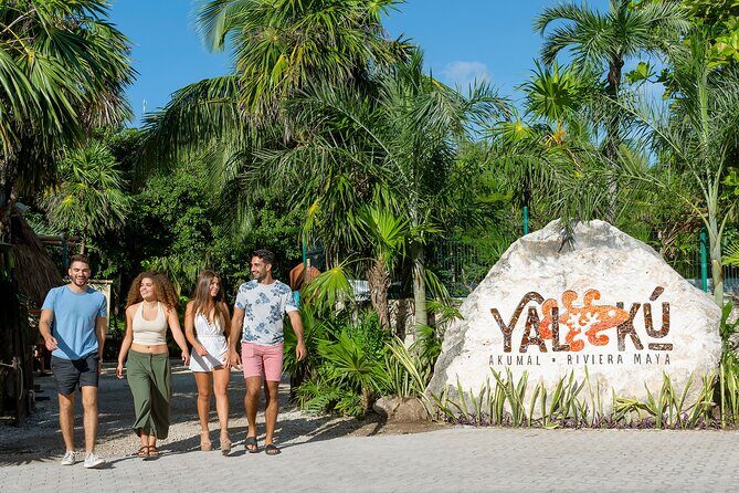 YAL-KU Park in Riviera Maya Admission Ticket - Should You Book Yal-Kú Park Admission?